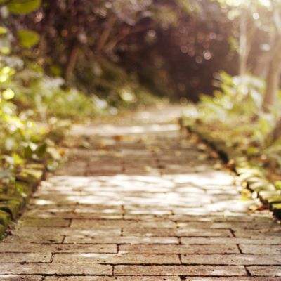 环球体育官网下载